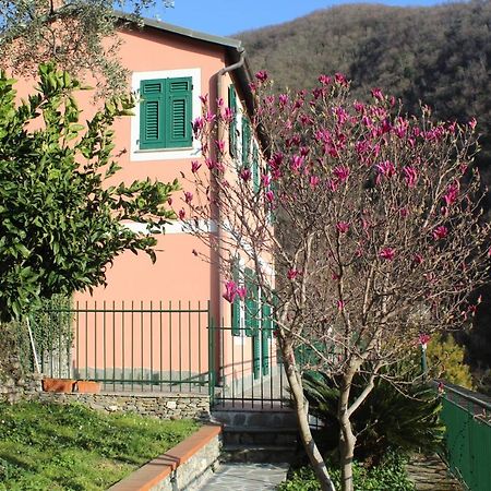 Villa Casa Laura Zoagli Exterior foto